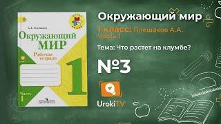 Задание 3 Что растёт на клумбе? - Окружающий мир 1 класс (Плешаков А.А.) 1 часть