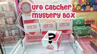 Japanese UFO Catcher Mystery Box?