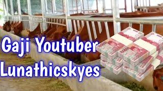 Gaji Youtube Lunathicskyes terbaru || Penghasilan Yotube Lunathicskyes