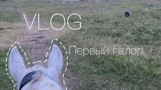 VLOG | Влог с конюшни. Первый галоп