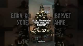 Елка, которая активирует богатство в 2025 году. #новыйгод#2025#волшебство #елка