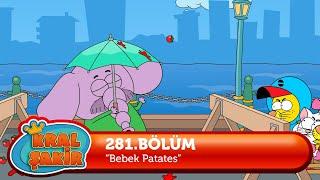 Kral Şakir 281. Bölüm - Bebek Patates (Yeni Bölüm)