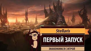 Stellaris. Первый запуск игры