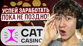  СЛОТЫ КОТОРЫЕ ДАЮТ - Проверка Cat Casino | Cat Casino Честный Обзор | Cat Casino Игровые Автоматы