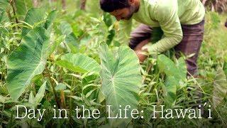 A Day in the Life of a Farmer in Hawai’i