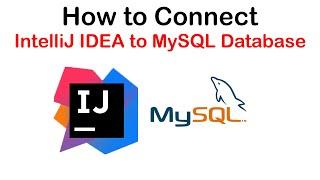 How to connect IntelliJ IDEA to MySQL Database