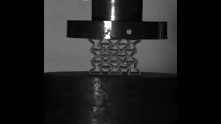 Drop tower impact on Auxetic structure made with filaflex