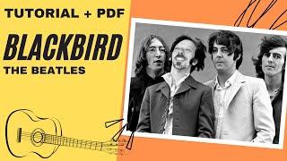 Blackbird | The Beatles | Tutorial Chitarra | Guitar Tutorial | Chords & TAB