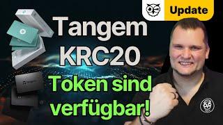 Das Tangem KRC20 Update ist da! So sieht es aus! So fügst du deine KRC20 Token hinzu!