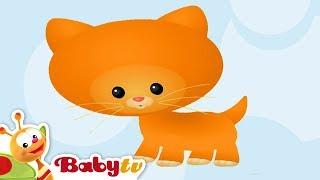 Cat  | Animal Sounds and Names for Kids & Toddlers @BabyTV