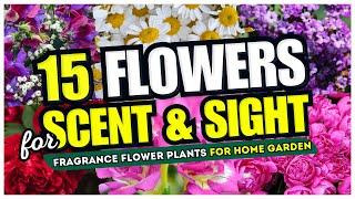  Best 15 Flowers for SCENT and SIGHT!  Fragrance Flower Plants for Home Garden 