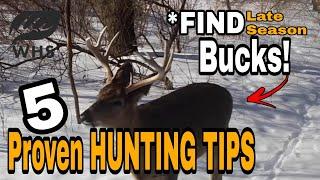 5 Late Season Deer Hunting Tips