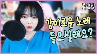 【안하랑풀영상】 하랑이가 불러주는 감미로운 노래 한번 들어보실래요?!! 안들으면 후회할껄?!?!