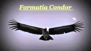 Formatia Condor din Galati - Hora instrumentala