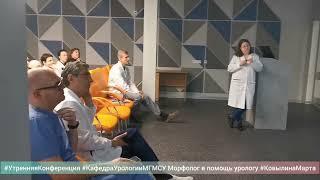 Классификация ВОЗ опухолей мочевого пузыря и предстательной железы: Ковылина Марта Владимировна.