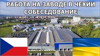 Поиск работы в Чехии беженцами из Украины | Второе собеседование в Европе| Блог 7