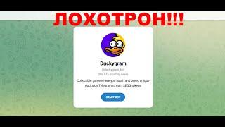 Duckygram Game Bot — отзывы про криптоигру. Мошенник?