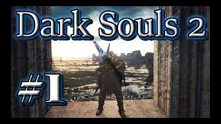 Dark Souls 2 SOTFS : Повышение ранга(оффлайн фарм)в ковенанте Хранители Колокола