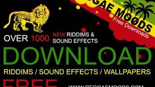 Version - Slow down riddim