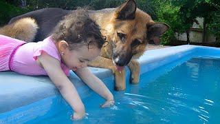 I Only Expected a Normal Dog... But What I Got Was a Silent Guardian Angel 