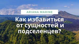 Как самостоятельно избавиться от сущностей и подселенцев в энергополе?