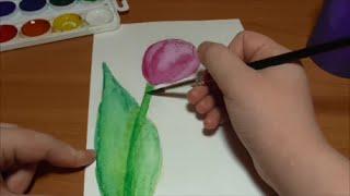 How to draw a tulip?