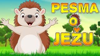 Pesma o ježu - Dečija pesmica | Životinje za decu | Muzika za bebe | Dečije pesmice o životinjama