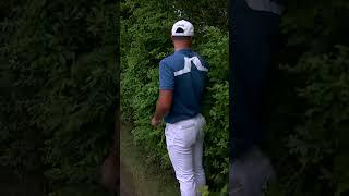 A WILD assist from a tree to help out Viktor Hovland 