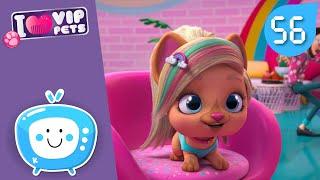  TOP HAIRSTYLE  VIP PETS  HAIRSTYLES ‍️ Full Episodes  CARTOONS for KIDS in ENGLISH