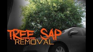 Car is plastered with Tree Sap - How to remove tree sap safely