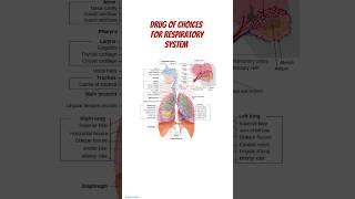 Drug of choices for Respiratory system #asthma #respiration #pharmacology #medical #treatment #copd