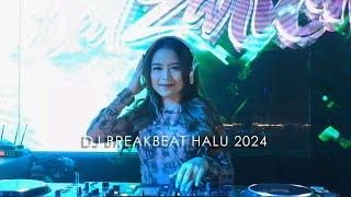 DJ SALZARICH - BREAKBEAT SHADOW STADIUM 2024