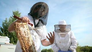 Saving the Mighty Honey Bee