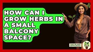 How Can I Grow Herbs In A Small Balcony Space? - The Plant Enthusiast