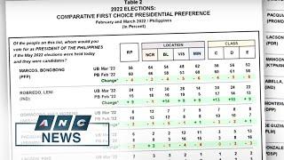 Pulse Asia: Presidential election now more a two-way race between Marcos, Robredo | ANC