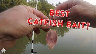 How To Catch Catfish From The Bank | Catfishing Bait, Rigs, & Tips!