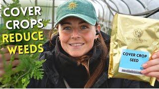 Sowing Spring Cover Crops – Improving Soil Health on the Flower Farm