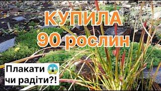 Купила 90 рослин і ось що з ними сталося #сад #рокарій #рослини #декупитирослини