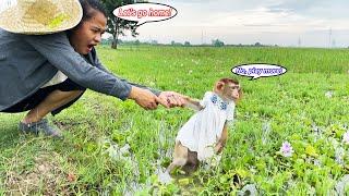 Monkey Lyly regrets not wanting to go home with her mother, why is that?