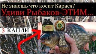 Какой запах любит карась осенью?Выбираем ароматизаторы для карася.