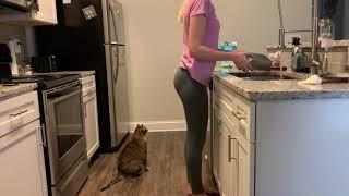 KITCHEN CLEAN WITH ME // Home With Hannah