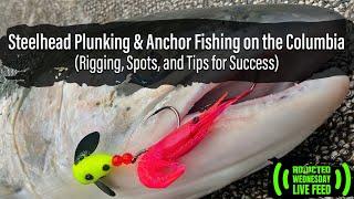Steelhead Plunking & Anchor Fishing on the Columbia: Rigging, Spots, and Tips for Success