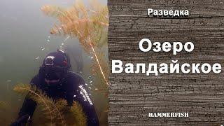 Валдайское озеро. Подводная охота на Валдае. Гидрокостюмы HAMMERFISH