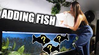 I GAVE THE KING OF DIY MY FISH!!! - ADayWithT