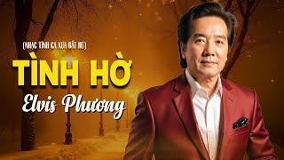 Tình Hờ - Elvis Phương | Giai Điệu Tình Ca Xưa Chạm Đến Trái Tim