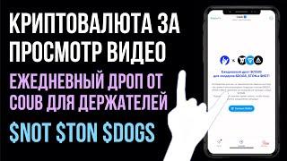 Ежедневный дроп токенов COUB для держателей криптовалют $NOT $TON $DOGS | Notcoin & Coub 