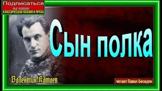 Сын полка    , Валентин Катаев   ,Аудиокнига   , читает Павел Беседин