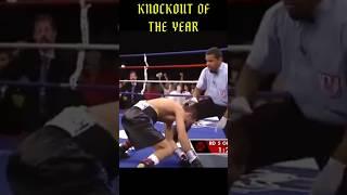 DONAIRE BRUTAL KNOCKOUT DARCHINYAN #shortvideo #shorts #shortsfeed #shortsviral