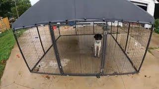 My Crazy Experience with a HUGE 10'X10' Dog Kennel from Amazon