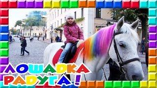  Лошадка Радуга и Покемон из МакДональдса Катаемся Кушаем Веселимся Rainbow Horse and Pokémon